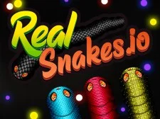 Real Snakes.io